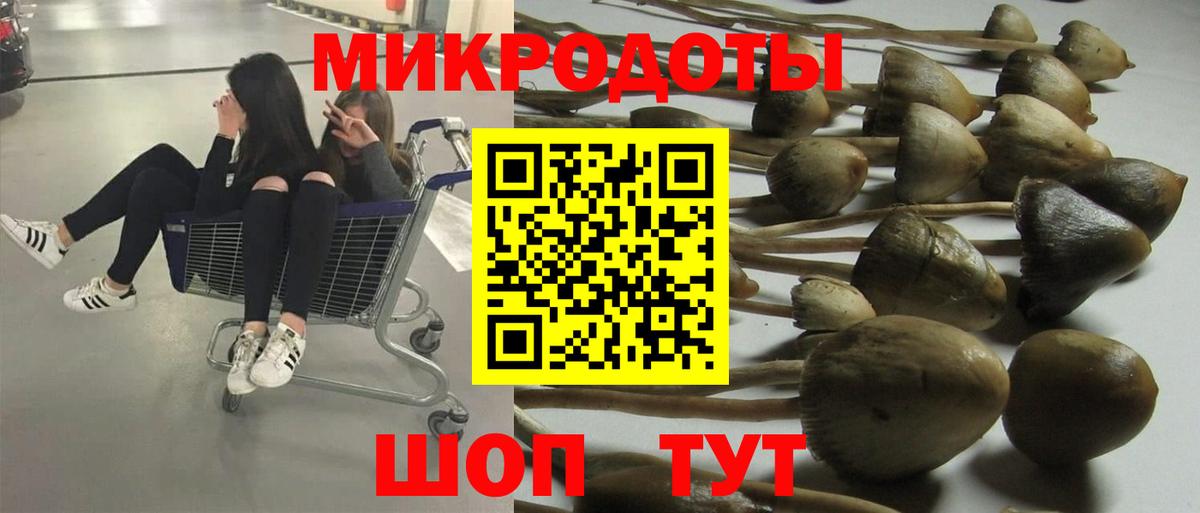 Галлюциногенные грибы мухоморы Можга